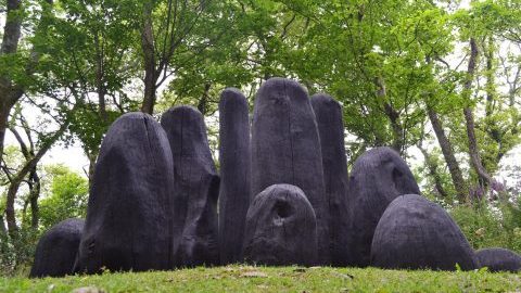 Tremenheere Sculpture Gardens - Great Gardens of Cornwall