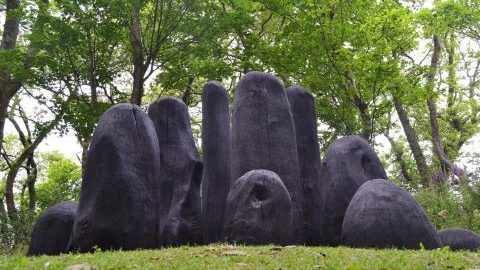 Tremenheere Sculpture Gardens - Great Gardens of Cornwall