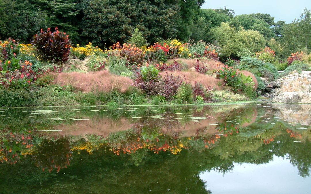 A Summer “Fairyland” for Artists – Bonython Estate Gardens