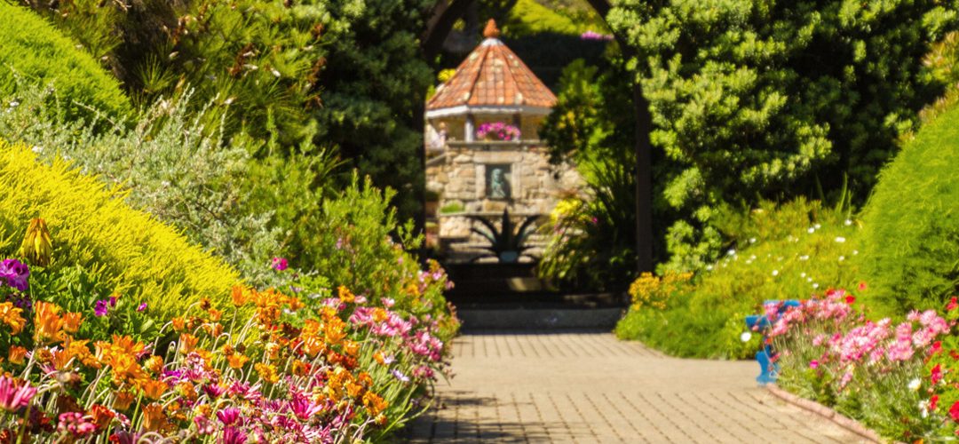 Tresco Abbey Gardens · Your Summer Photos from the “Cornish Caribbean”