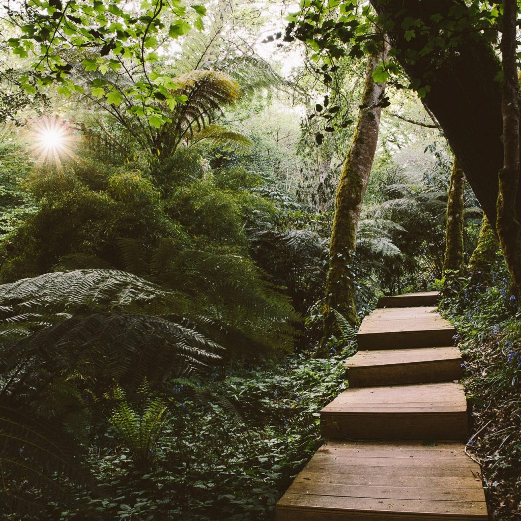 Tremenheere Sculpture Garden The Great Gardens of Cornwall