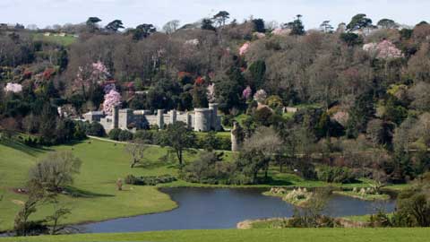 Caerhays Castle Spring Gardens - Great Gardens of Cornwall