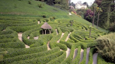 The Great Gardens Of Cornwall