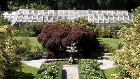 Tregrehan Garden - Great Gardens of Cornwall