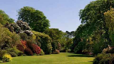 Trewithen - Great Gardens of Cornwall