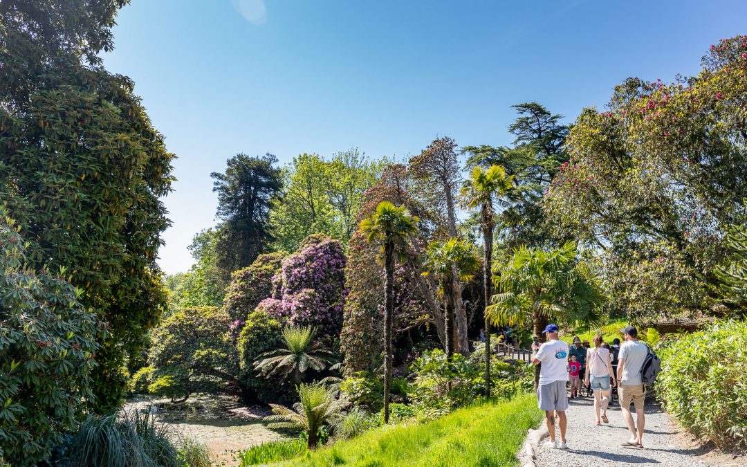 Finding Community Spirit at The Lost Gardens of Heligan