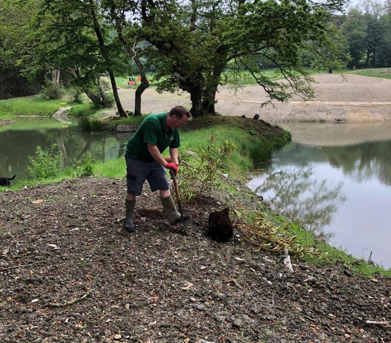 Creating New Legacies at Trewithen