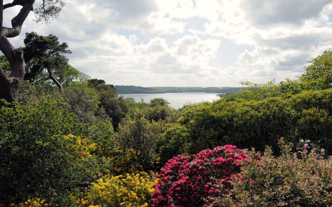 Antony Woodland Garden Guided Tours