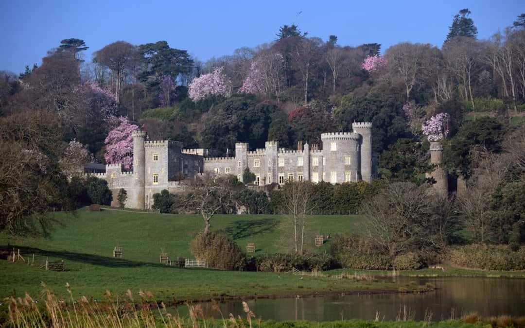 3 Gardens you must visit in south-Cornwall