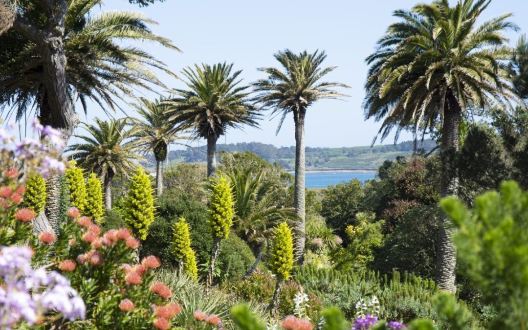 The Great Gardens of Cornwall to visit in west Cornwall