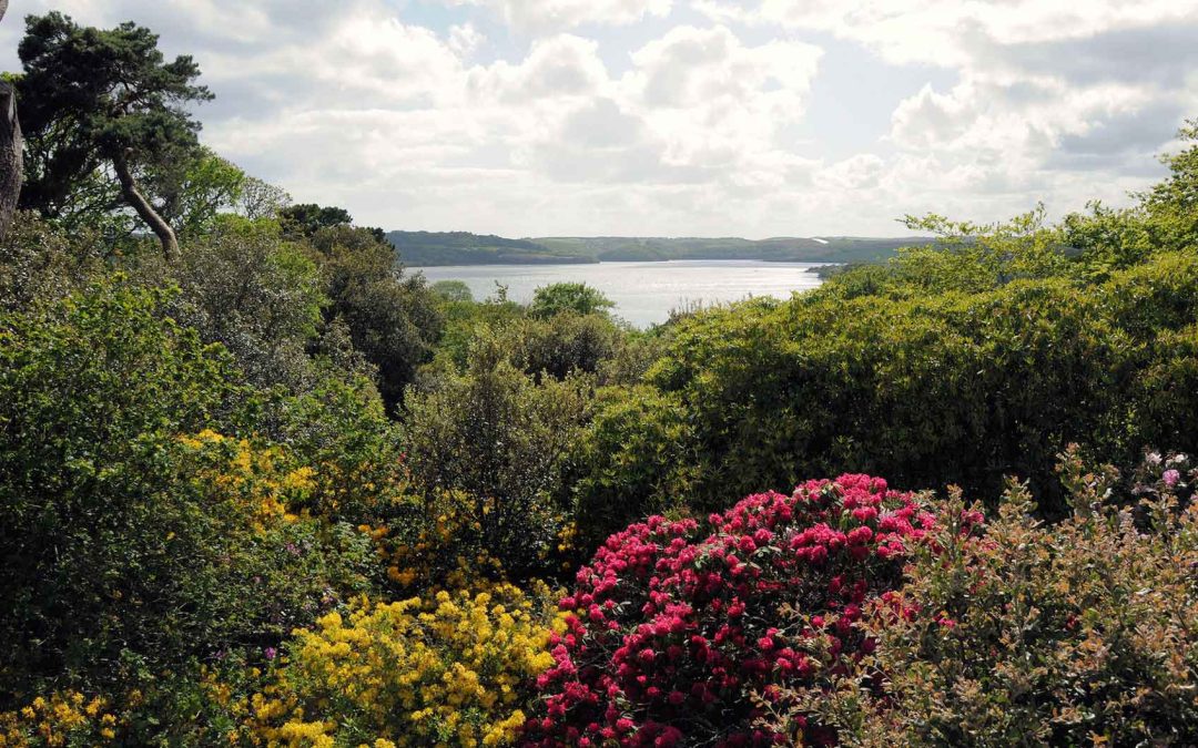 The Great Gardens of Cornwall to visit in East-Cornwall