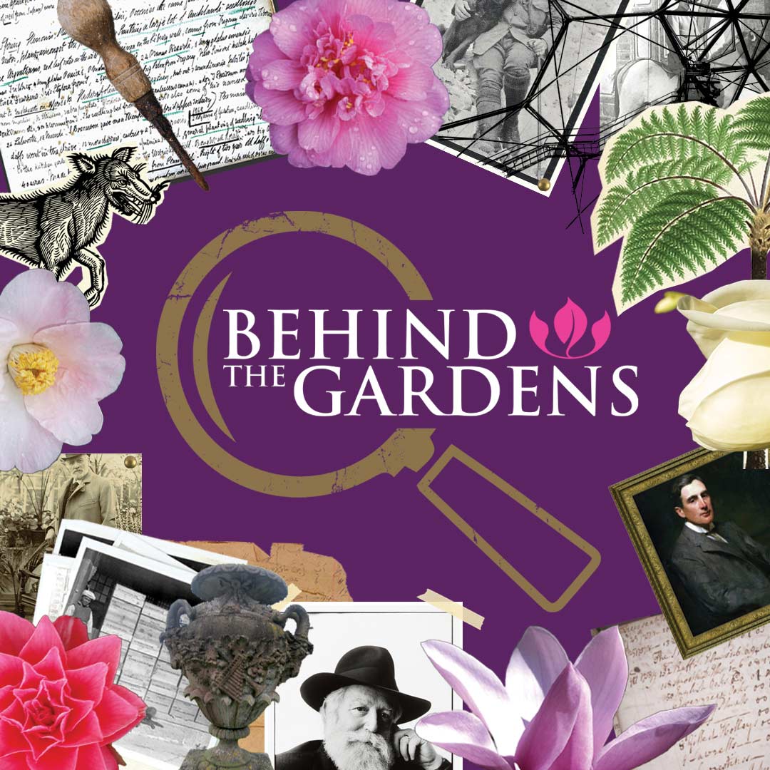 behind-the-gardens-logo-with-border-Great-Gardens-of-Cornwall