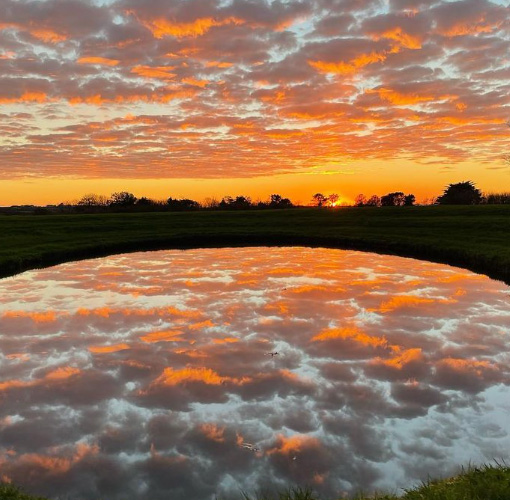 Bonython Estate Gardens - The Great Gardens of Cornwall