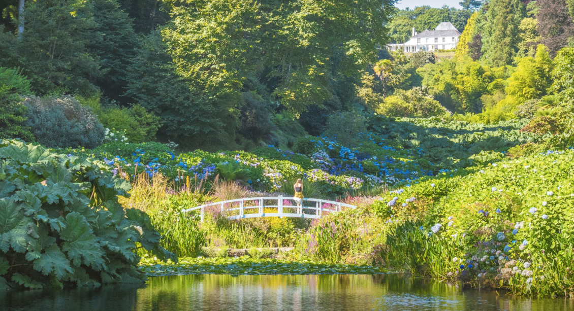 The Story Of Trebah Garden The Great Gardens Of Cornwall the-story-of-trebah-garden-the-great-gardens-of-cornwall