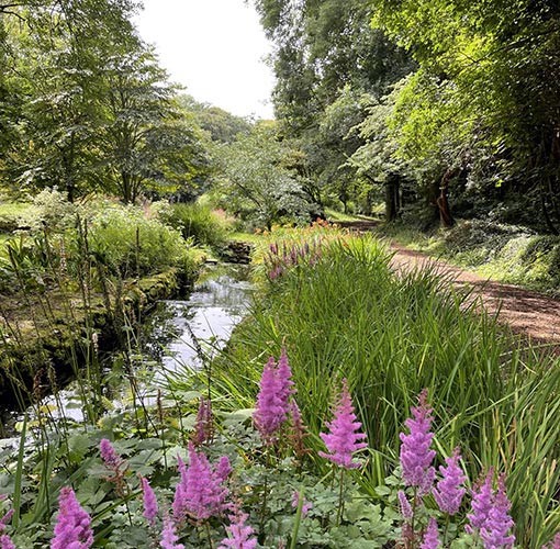 Bonython Estate Gardens - The Great Gardens of Cornwall