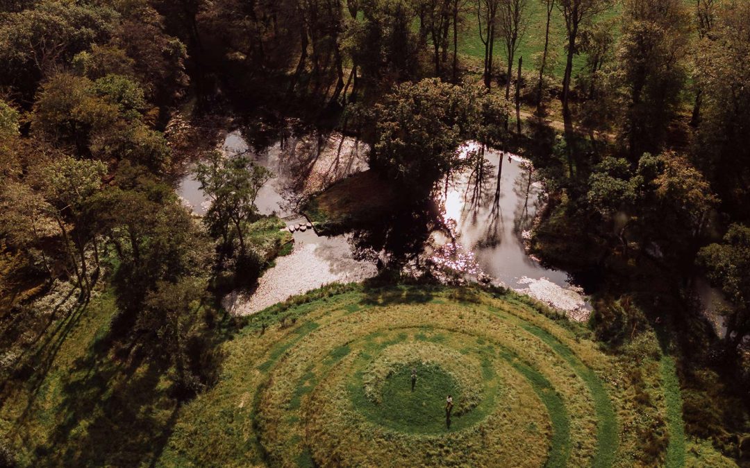 What’s On at Trewithen Gardens: Summer 2025