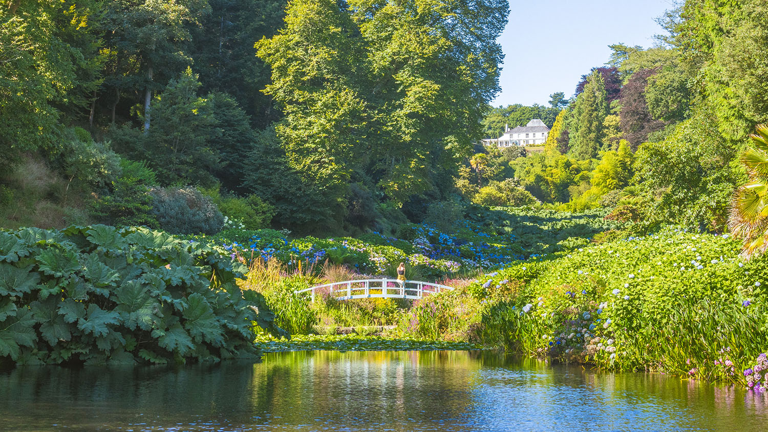 Trebah Garden
