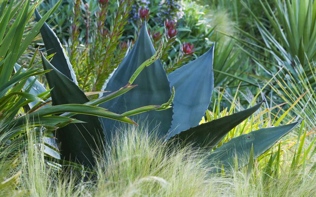 Our 30th Year Photograph