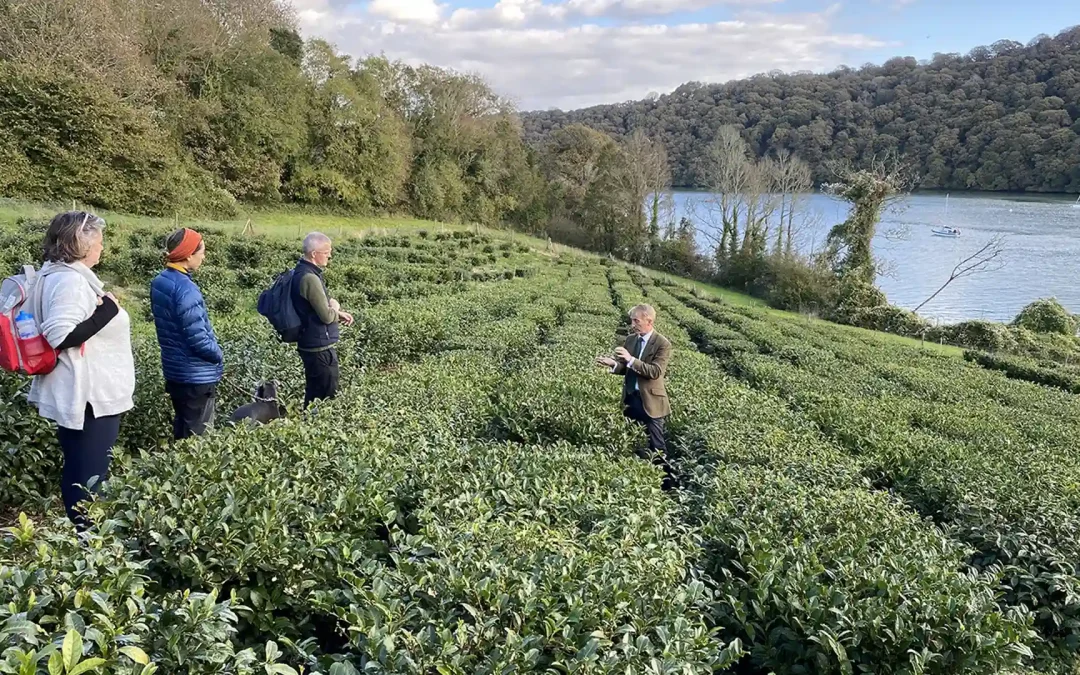 The Magnificent 7: Cornwall’s Stunning “Tre” Gardens