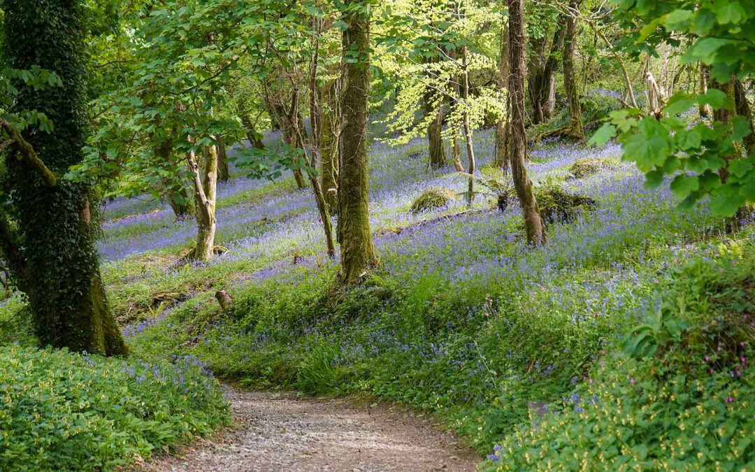 Great Garden Secrets You’d Miss If You Didn’t Know