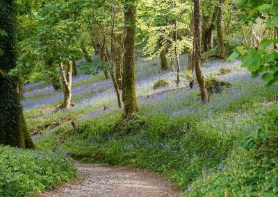 Great Garden Secrets You’d Miss If You Didn’t Know