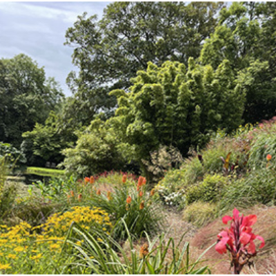 Bonython Estate Gardens - The Great Gardens of Cornwall