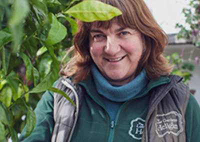 International Women’s Day: The Women Who Make Cornwall’s Gardens Bloom