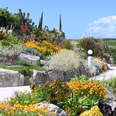 Outside view of the Valhalla Museum at Tresco, with a number of viking statues visible on the external of the building.