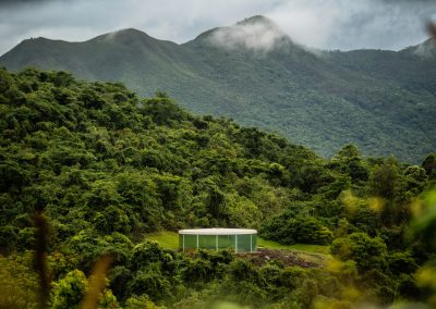 Bluebells and Ipê Trees: Spring in Cornwall and Brazil