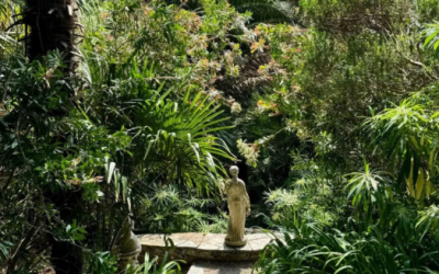 Spring in Cornwall and the French Riviera