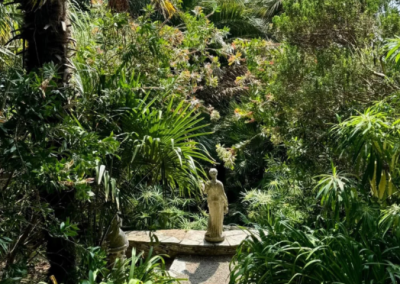 Camellias and Clifftops : Spring in Cornwall and the French Riviera