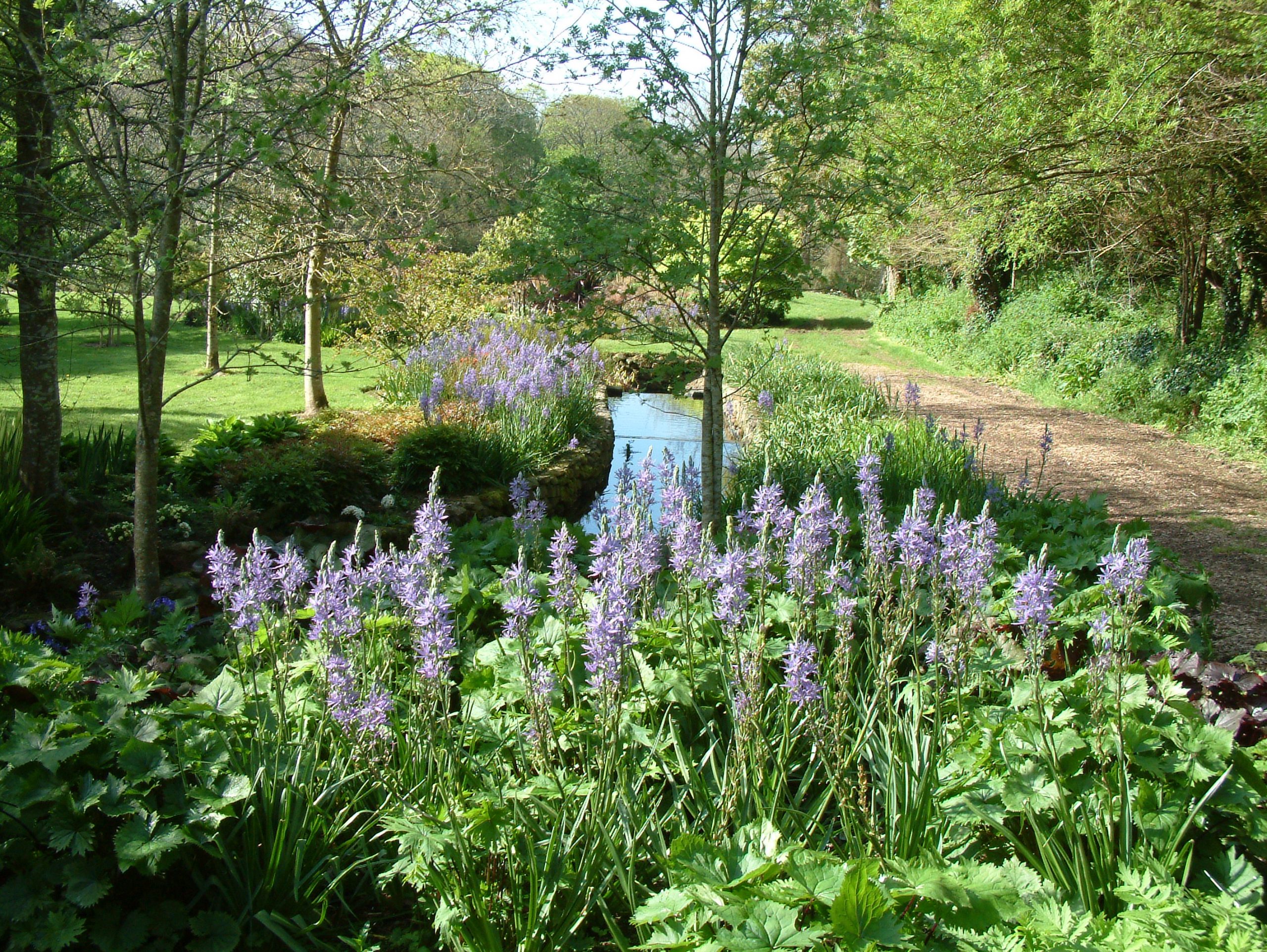 Bonython_4_Stream