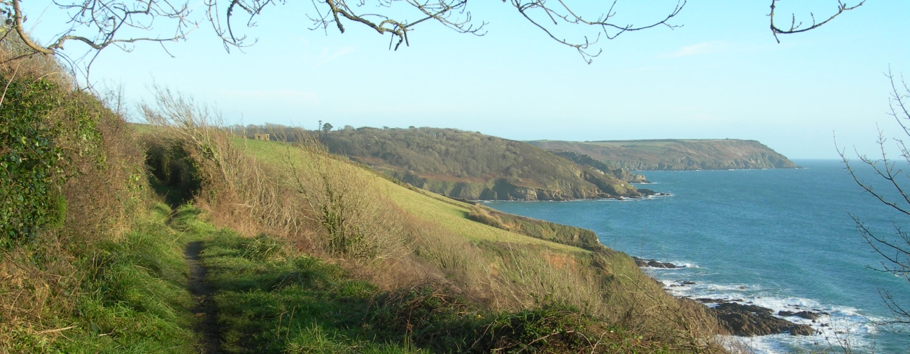 Caerhays_5