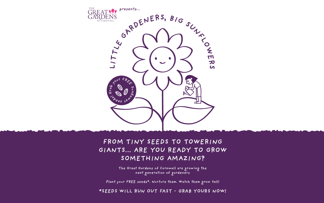 Little Gardeners, Big Sunflowers: Grow Along With Us