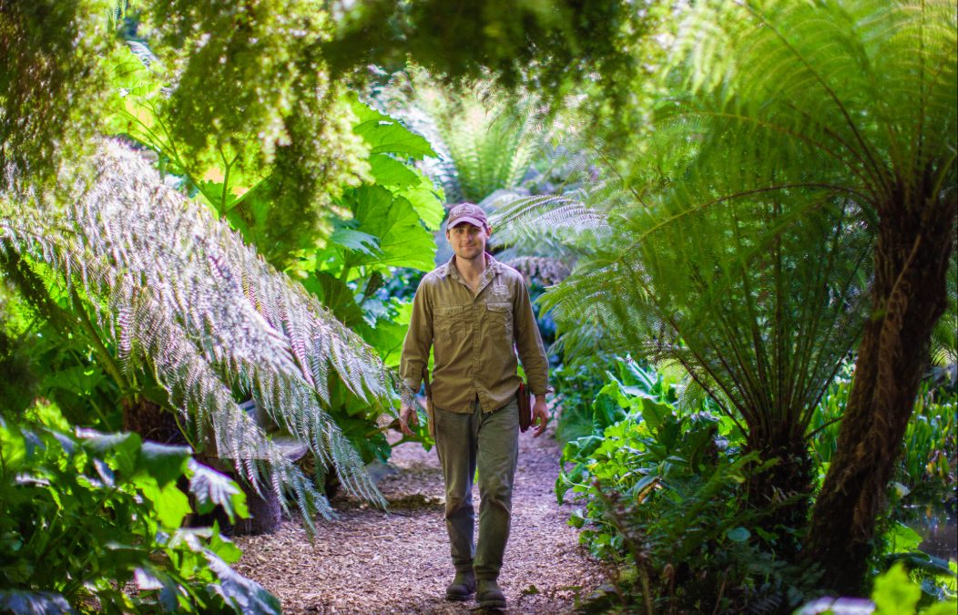 From the Jungle to the Classroom, Heligan is Growing the Next Generation of Gardeners