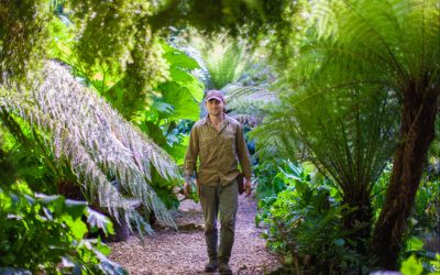 From the Jungle to the Classroom, Heligan is Growing the Next Generation of Gardeners