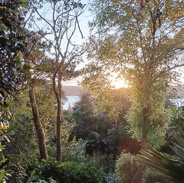 Glimpses of the sea between the trees and plants