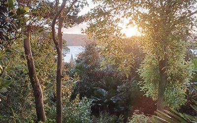 A Mediterranean Dream on the Roseland: How 45 Years of Passion Created Lamorran