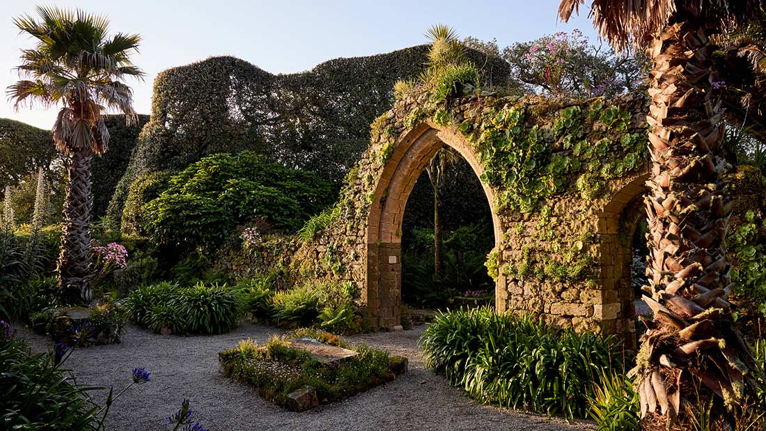 The arch from the wall of the mediaeval monastery with palm trees and other plants growing at Tresco
