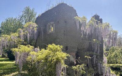 Island Shores and Italian Ruins: Spring in Cornwall and Italy