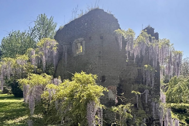 Island Shores and Italian Ruins: Spring in Cornwall and Italy