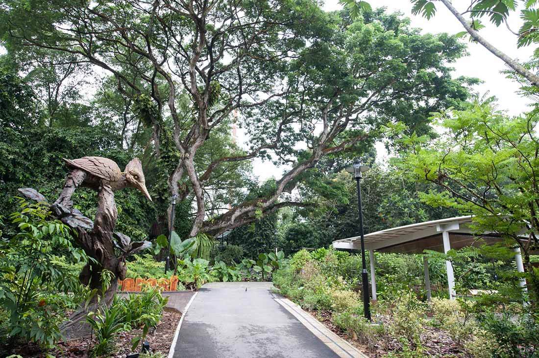 Serene space that has a statue at the bottom of a set of steps with palms and plants surrounding the space.