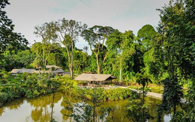 Spring in Biomes and Tropics: Cornwall and Singapore