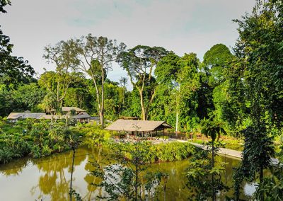 Spring in Biomes and Tropics: Cornwall and Singapore