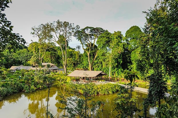 Spring in Biomes and Tropics: Cornwall and Singapore