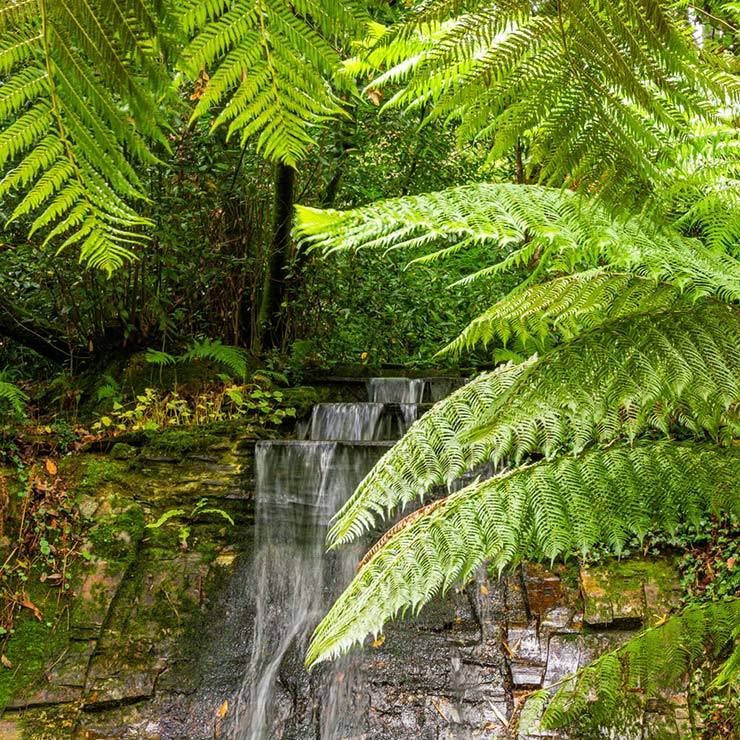 Serene space that has a statue at the bottom of a set of steps with palms and plants surrounding the space.