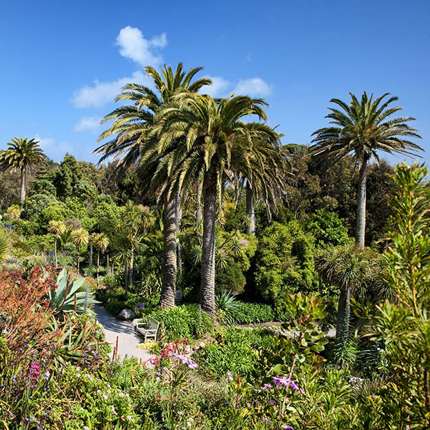 Serene space that has a statue at the bottom of a set of steps with palms and plants surrounding the space.