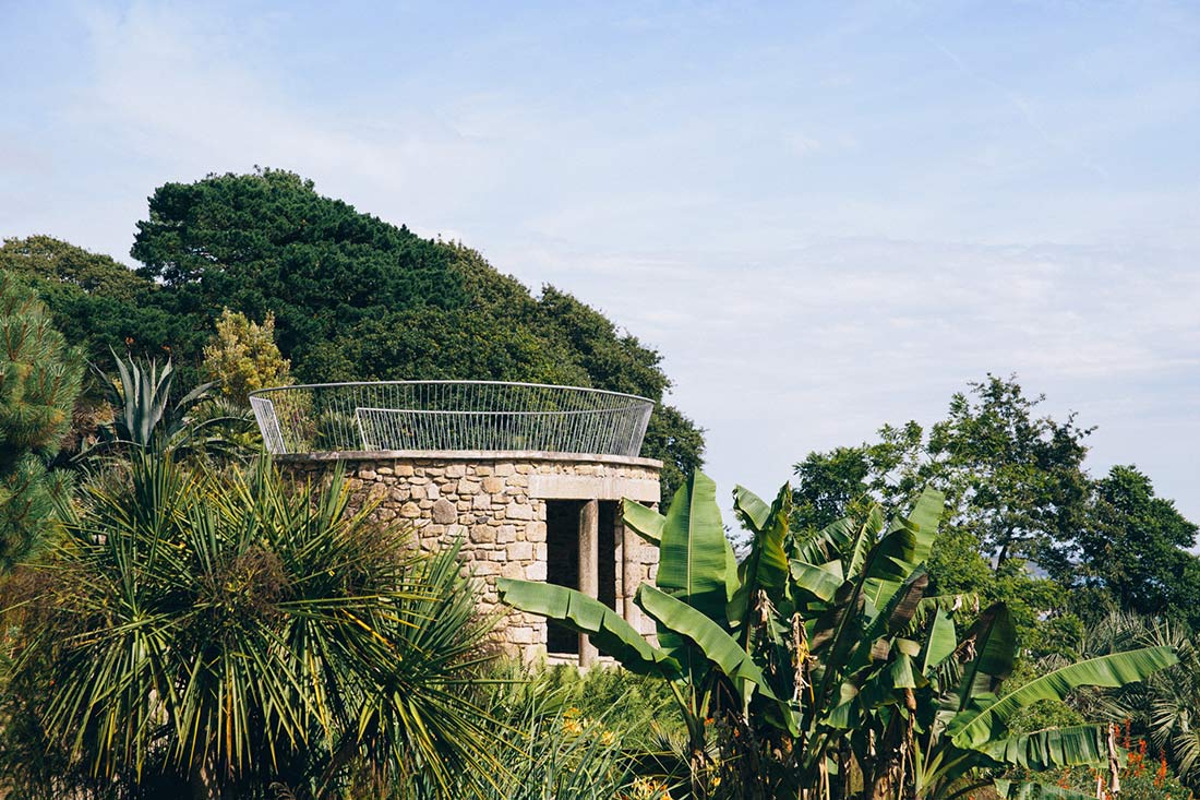 Palms and palm trees give the garden an amazing sense of height.