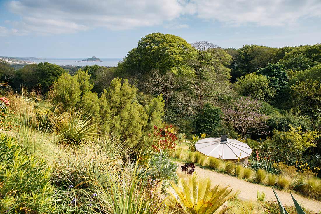 Glimpses of the sea between the trees and plants